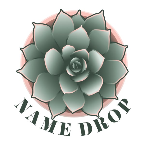 PLNT116 - Succulent Echeveria