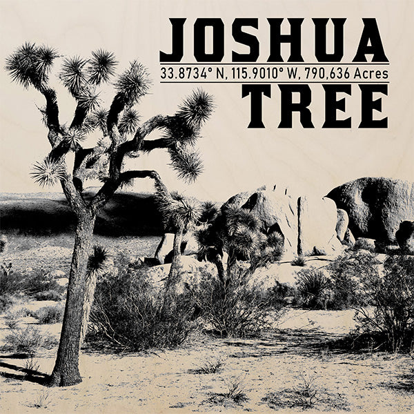 PARK220 - Joshua Tree Raw Print