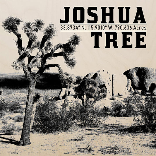 PARK220 - Joshua Tree Raw Print