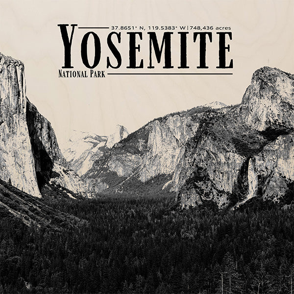 PARK221 - Yosemite Raw Print