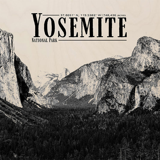 PARK221 - Yosemite Raw Print