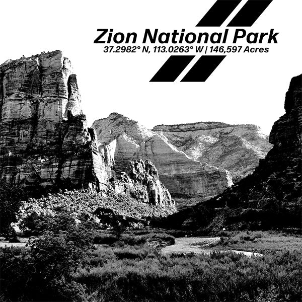 PARK310 - Zion Raw Print