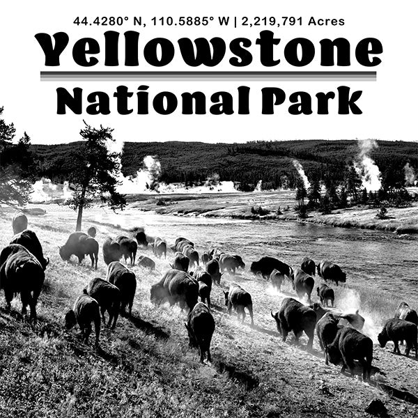 PARK322 - Yellowstone Raw Print