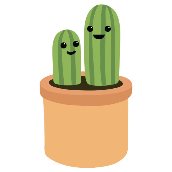 PLNT105 - Cactus 2