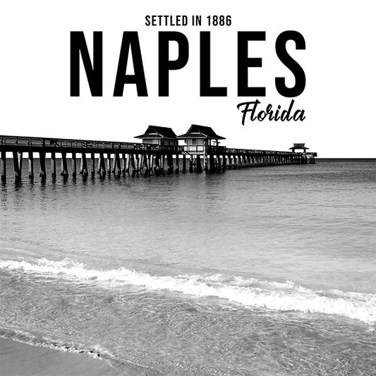 UST166 - Naples Pier Raw Print